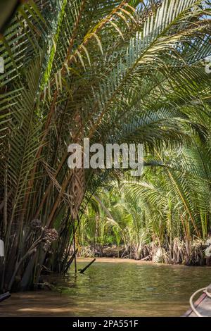 Barche nel delta del fiume Mekong in vietnam. Foto Stock