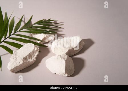 Astratto scenario minimalista con una foglia di palma, pietre. Podio su sfondo chiaro con ombre. presentazione del prodotto, layout, dimostrazione di un prodotto cosmetico, podio, piedistallo o piattaforma. Foto Stock