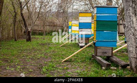 Sideboards vicino all'entrata dell'alveare., per aiutare le api cadute ad entrare nell'alveare. Preparazione dell'apiario per la primavera. Foto Stock