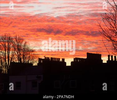 Sunrise silhouetting camino pentole lungo una fila di case a schiera a Bristol UK Foto Stock
