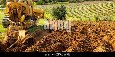 Il contadino coltiva il terreno con un trattore cingolato pesante per piantare un nuovo vigneto. Industria agricola, cantina. Foto Stock