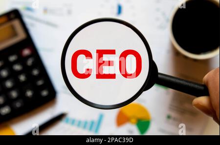 Simbolo del CEO. Concetto parola CEO su cubi di legno. Bellissimo sfondo giallo. Concetto aziendale e CEO. Spazio di copia Foto Stock