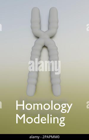 3D illustrazione di un cromosoma con script di omologia Modeling Foto Stock