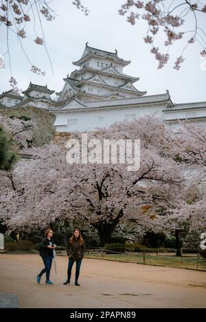 Himeji, Giappone - 10 aprile 2019. Fiore di ciliegio (sakura) nel castello di Himeji, Giappone. Il castello (costruito nel 1333) è l'esempio meglio conservato di Medieva Foto Stock