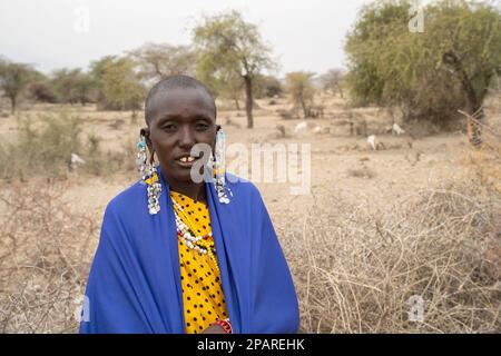 Karatu, Tanzania - 16th ottobre 2022: Ritratto di una donna masai in abiti e gioielli tradizionali. Il recinto di spina del suo villaggio e alcune capre sono Foto Stock