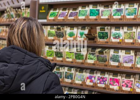 Vista della donna che sceglie i semi per la semina. Concetto di giardinaggio. Svezia. Foto Stock