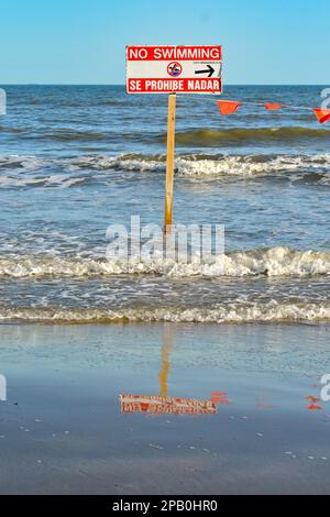 Galveston, Texas, USA - 2023 febbraio: Segnale di avvertimento sul bordo dell'acqua che dice ai visitatori che non c'è nuoto per motivi di sicurezza Foto Stock