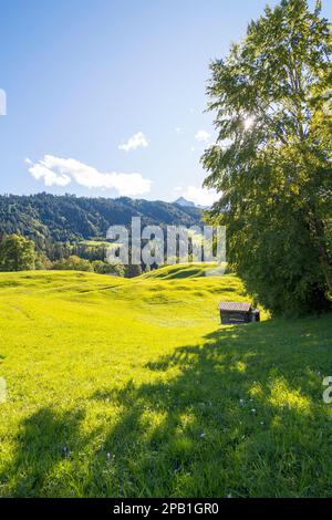 Vista su prati collinari, quasi ondulati e verdeggianti. In primo piano si trova un fienile in legno ancora in uso. Sullo sfondo, i picchi del Foto Stock