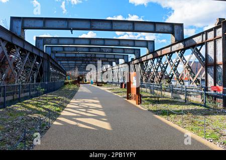 Sul parco sopraelevato del Viadotto di Castlefield, realizzato nello stile della New York City High Line. Castlefield, Manchester, Inghilterra, Regno Unito Foto Stock