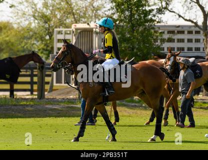 Port Mayaca, Stati Uniti. 12th Mar, 2023. 3/10/23 Port Mayaca, Florida Sarah Siegel Magness DUNDAS VS EL CID FITNESS durante le semifinali US Women's Polo 18-24 Goal Cup 2023, tenutesi presso il polo Port Mayaca di Port Mayaca, Florida, venerdì 10 marzo 2023. Credit: Jennifer Graylock/Alamy Live News Foto Stock