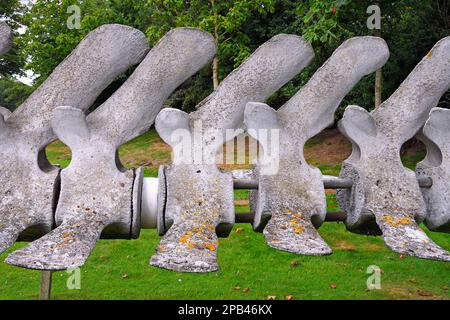 Vertebra dorsale di una balena (Balaenoptera physalus) nel Museo Sylt di Storia locale, Keitum, Sylt, Isole Frisone Settentrionali, Frisia Settentrionale, Schlesw Foto Stock