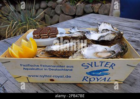 6 ostriche fresche, Sylter Royal, servite in un tradizionale cestino di patatine fritte, Sylt, Isole Frisone Settentrionali, Frisia Settentrionale, Schleswig-Holstein, Germania, Europa Foto Stock