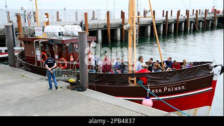 Taglierina con turisti nel porto di List, Sylt, Isole Frisone Settentrionali, Frisia Settentrionale, Schleswig-Holstein, Germania, Europa Foto Stock