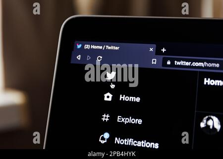 Kaunas, Lituania - 2023 marzo 12: Sito web Twitter social network su schermo PC. Foto di alta qualità Foto Stock