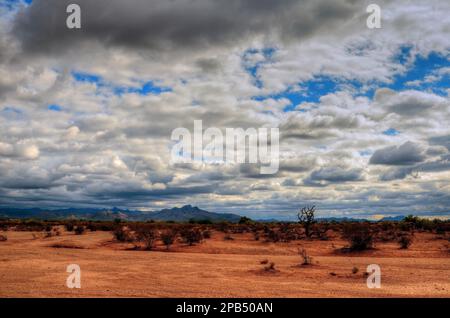 Il deserto di sonora nell'Arizona centrale degli Stati Uniti Foto Stock