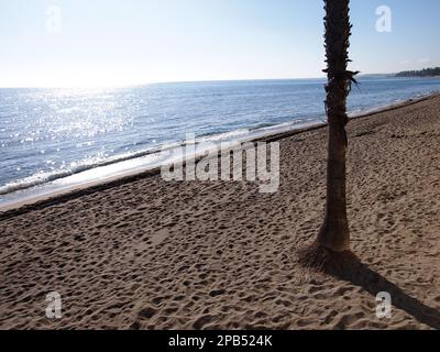 Playa de Casablanca (Marbella, provincia di Málaga, Andalusia, Regno di Spagna) Foto Stock