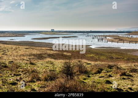 Riserva naturale di Rye Harbour nel Sussex orientale con la casa di salvataggio in lontananza Foto Stock