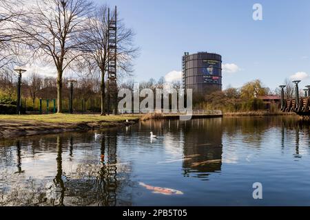 Oberhausen, Germania - 3-11-2023: Gasometer Oberhausen dietro un lago con pesci koi asiatici Foto Stock