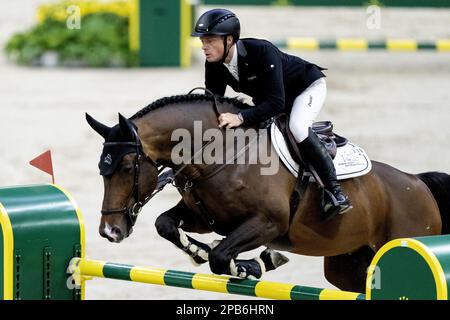 DEN BOSCH - Willem Greve (NED) su Grandorado TN NOP in azione durante la World Cup show jumping, durante il Dutch Masters Indoor Brabant Horse Show. LEVIGATRICE ANP KONING olanda fuori - belgio fuori Foto Stock