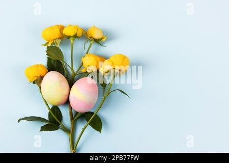 Uova di Pasqua colorate con un rametto di rose gialle su sfondo blu. Buon concetto di Pasqua. Biglietto d'auguri, spazio copia Foto Stock