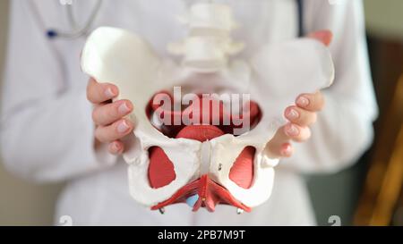 Primo piano del bacino femminile nelle mani dei medici. Foto Stock