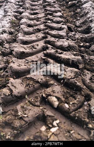 Tracce degli pneumatici del veicolo su strade fangose. Foto Stock