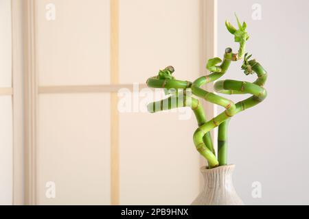 Vaso con pianta di bambù e schermo pieghevole vicino parete grigia, primo piano Foto Stock