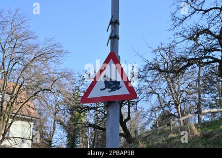 Cartello di traffico di migrazione anfibia posizionato su un palo di metallo. I conducenti devono prestare attenzione alla migrazione delle rane in primavera. Vista ad angolo basso con alcuni COP Foto Stock