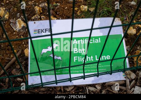 Wendover Dean, Buckinghamshire, Regno Unito. 12th marzo, 2023. HS2 lavori hanno avuto un impatto sui corridoi delle pipistrelle nei bambini. Il rapporto di Wildlife Life Trusts recente su HS2 è stato molto critico di HS2 e l'impatto che il lavoro di costruzione sta avendo sulla fauna selvatica. Questa settimana è stato annunciato che la fase da Birmingham a Crewe del HS2 è stata messa in attesa a causa dell'aumento dei costi. I costi attuali del progetto sono enormemente superiori al budget e si prevede che superino i 100 miliardi di sterline. HS2 sta avendo un impatto estremamente negativo sui residenti che vivono lungo la linea alcuni dei quali hanno avuto le loro case di dem Foto Stock