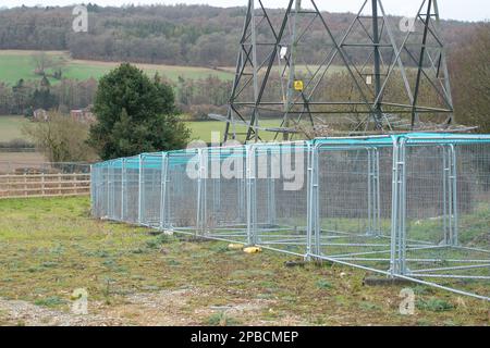 Wendover Dean, Buckinghamshire, Regno Unito. 12th marzo, 2023. HS2 lavori hanno avuto un impatto sui corridoi delle pipistrelle nei bambini. Il rapporto di Wildlife Life Trusts recente su HS2 è stato molto critico di HS2 e l'impatto che il lavoro di costruzione sta avendo sulla fauna selvatica. Questa settimana è stato annunciato che la fase da Birmingham a Crewe del HS2 è stata messa in attesa a causa dell'aumento dei costi. I costi attuali del progetto sono enormemente superiori al budget e si prevede che superino i 100 miliardi di sterline. HS2 sta avendo un impatto estremamente negativo sui residenti che vivono lungo la linea alcuni dei quali hanno avuto le loro case di dem Foto Stock