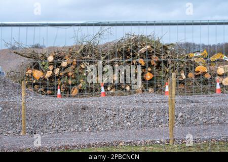 Wendover Dean, Buckinghamshire, Regno Unito. 12th marzo, 2023. Alberi abbattuti da HS2 ad uno dei loro composti. I lavori di costruzione della High Speed Rail 2 fase 1 sono in corso, tuttavia questa settimana è stato annunciato che la fase Birmingham-Crewe del HS2 è stata messa in attesa a causa dell'aumento dei costi. I costi attuali del progetto sono enormemente superiori al budget e si prevede che superino i 100 miliardi di sterline. Il HS2 sta avendo un impatto estremamente negativo sui residenti che vivono lungo la linea alcuni dei quali hanno fatto demolire le loro case e gli agricoltori hanno fatto la loro terra presa entro il HS2, ma presumibilmente sono ancora da recuperare Foto Stock