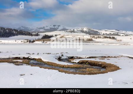 Un torrente serpeggiante si snoda attraverso la Lamar Valley nel parco nazionale di Yellowstone in tarda primavera Foto Stock