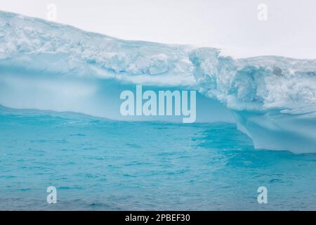 Belle sfumature di blu da un ghiacciaio di iceberg che si scioglie galleggiando nella luce del sole dell'Antartide Foto Stock