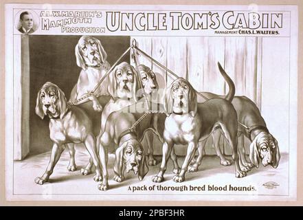 1898 , USA : UNCLE TOM' CABIN teatro spettacolo poster , di al. W. MARTIN mammuth . L'abolizionista e romanziere americano, scrittrice donna HARRIET BEECHER STOWE ( 1811 - 1896 ) autore del libro più celebrato ZIO TOM 'S CABIN ( 1852 ) attaccò la crudeltà della schiavitù; raggiunse milioni di persone come romanzo e gioco, e divenne influente, anche in Gran Bretagna. Ha reso tangibili a milioni le questioni politiche degli anni '1850s in materia di schiavitù, stimolando le forze anti-schiavitù nel Nord America. Ha arrabbiato e embittered il sud. L'impatto è riassunto in una dichiarazione ap comunemente citata Foto Stock