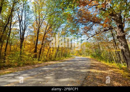 Bellissima strada per il parco attraverso una foresta di colorate foglie autunnali al William o'Brien State Park vicino a Marine su Saint Croix Minnesota Foto Stock