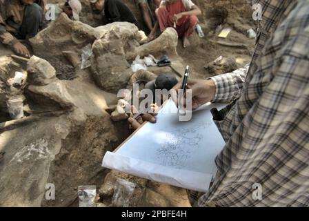 Il paleontologo Iwan Kurniawan disegna un disegno su carta che mostra le posizioni delle ossa fossili dell'Elephas hysudrindicus, una specie di elefante estinta vissuta durante l'epoca del Pleistocene, che in seguito è conosciuta come 'elefante di Blora' Mentre il suo team sta lavorando in background presso il sito di scavo di Sunggun, Mendalem, Kradenan, Blora, Central Java, Indonesia. Il team di ricerca dei vertebrati (Agenzia Geologica, Ministero indonesiano dell'energia e delle risorse minerali) guidato da Kurniawan stesso con Fachroel Aziz ha scoperto le ossa della specie quasi interamente (circa il 90% completo) che più tardi... Foto Stock