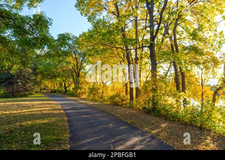 Un percorso accessibile a Fridley, Minnesota, lungo il fiume Mississippi in autunno, con splendide piante serali Foto Stock