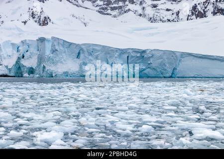 Formazione di ghiaccio blu esposta sulla penisola antartica. Strato soprastante di neve e rocce frastagliate in cima. Residui di ghiaccio che galleggiano nell'acqua in primo piano. Foto Stock