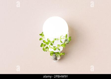 Lampadina luminosa con foglie verdi su sfondo beige. Concetto creativo di energia verde. Lampada a LED Eco, sostenibile per l'ambiente. Foto Stock