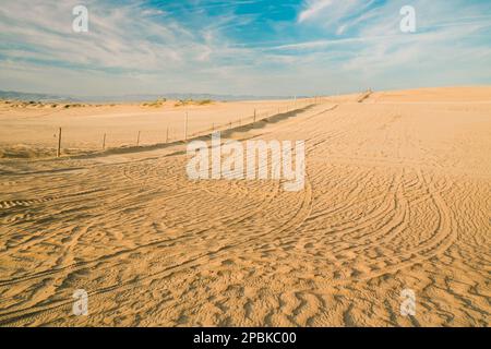 Dune di sabbia e piste per pneumatici su sabbia, Oceano, California Central Coast Foto Stock