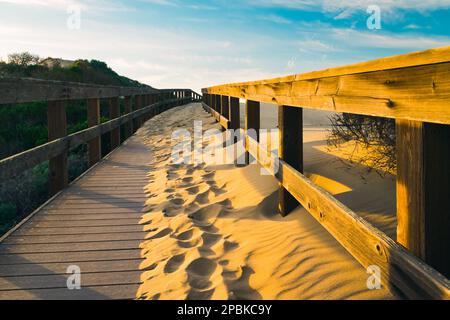 Passeggiata rustica in legno attraverso dune di sabbia e foresta nativa che conduce alla spiaggia. Tramonto a Oceano, California Central Coast Foto Stock