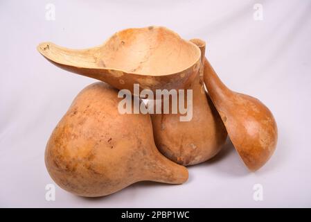 Zucca, calabasca, cucchiaio di zucca su un fondo isolato Foto Stock