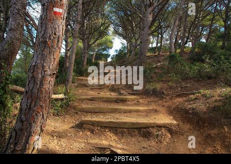 Escursioni sulle scogliere della baia Fosca (Cami de Ronda), Costa Brava, Catalogna - Spagna Foto Stock