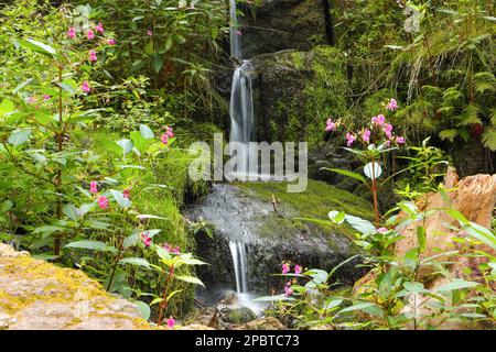 Cascata Blauenthal sulle montagne ore a Erzgebirge - Germania Foto Stock