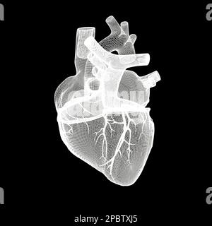 cuore umano isolato su sfondo calvo 3d illustrazione Foto Stock