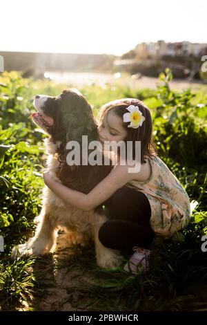 Cane da abbraccia di sette anni nel campo dei fiori di San Diego Foto Stock