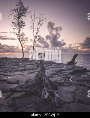 litorale, lava e aree di vegetazione sulla grande isola delle hawaii Foto Stock