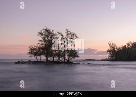 litorale, lava e aree di vegetazione sulla grande isola delle hawaii Foto Stock