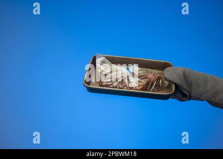 Bastoncini di pollo in un forno trasparente che arrostisce il sacchetto di cottura del cellophane tenuto da mano maschio caucasica in un forno miten. Primo piano ripresa in studio, isolata Foto Stock