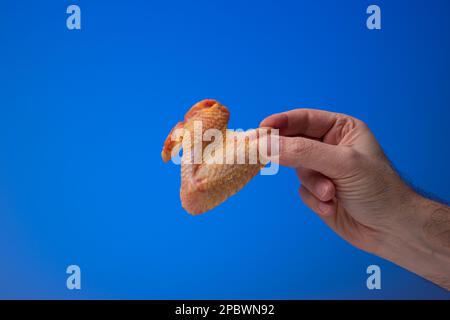 Ala di pollo crudo crudo crudo e fresco tenuto tra le dita da mano maschio caucasica. Primo piano ripresa in studio, isolata su sfondo blu. Foto Stock